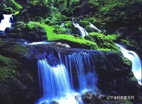 “小海蛎子”带回17名“小冻梨”